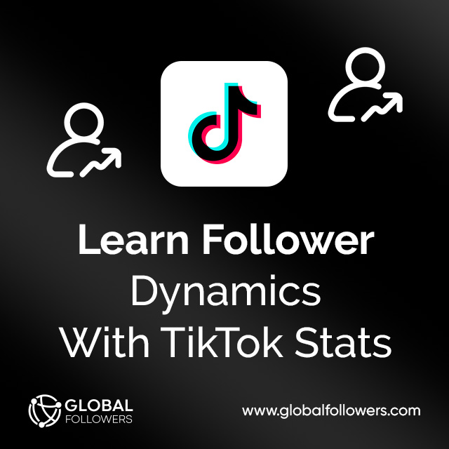 Learn Follower Dynamics With TikTok Stats