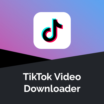 TikTok Video Downloader