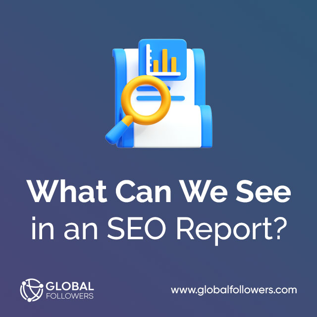 What Can We See in an SEO Report?