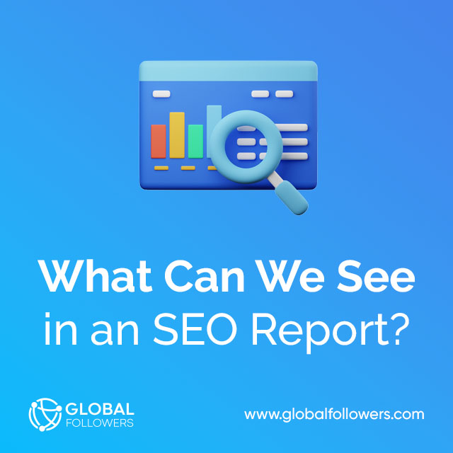 What Can We See in an SEO Report?