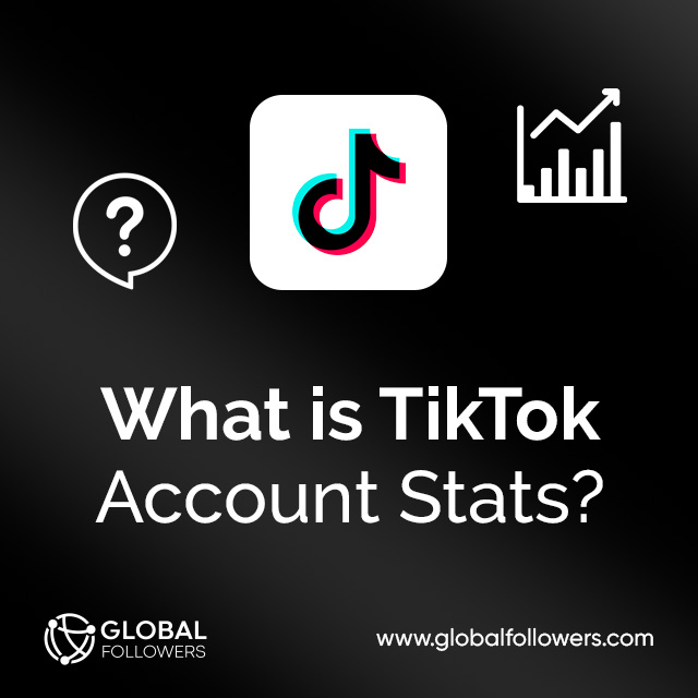 What is TikTok Account Stats?