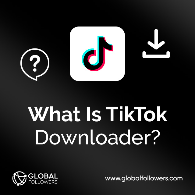 What Is TikTok Video Downloader?