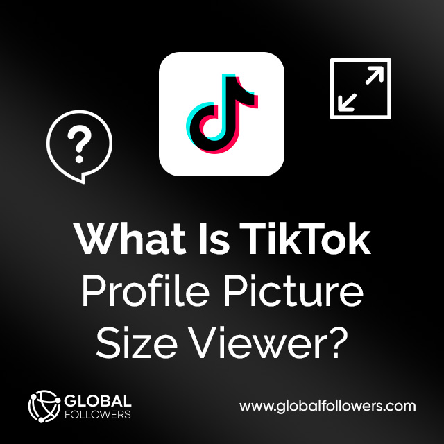 What Is TikTok Profile Picture Size Viewer?